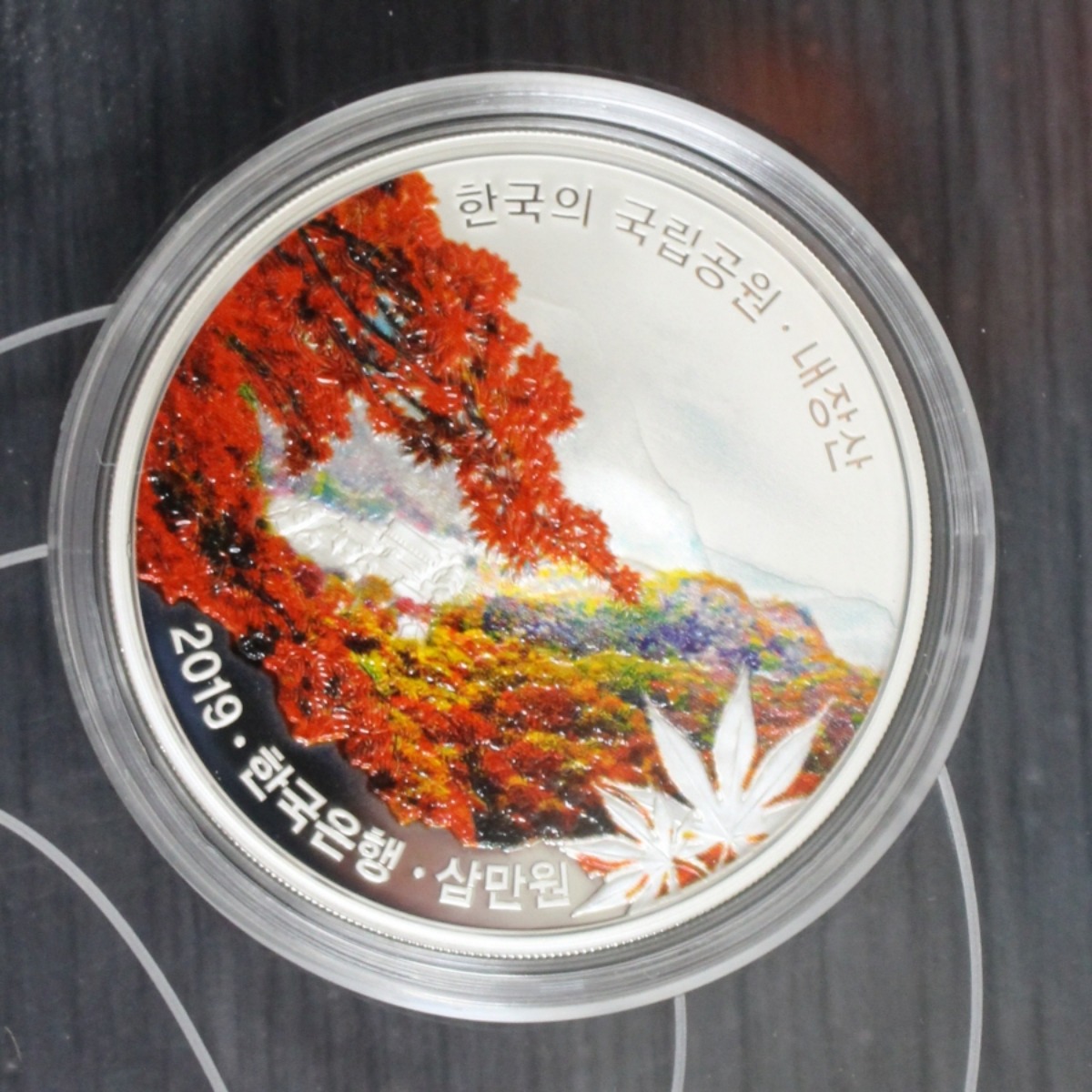 한국 2019년 한국의 국립공원 기념 은화 시리즈 3차 - 내장산